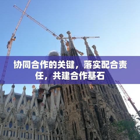 協(xié)同合作的關鍵，落實配合責任，共建合作基石