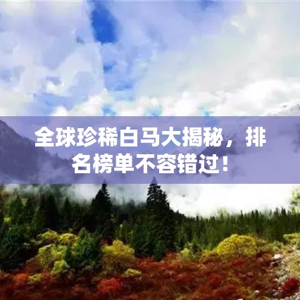 全球珍稀白馬大揭秘，排名榜單不容錯過！