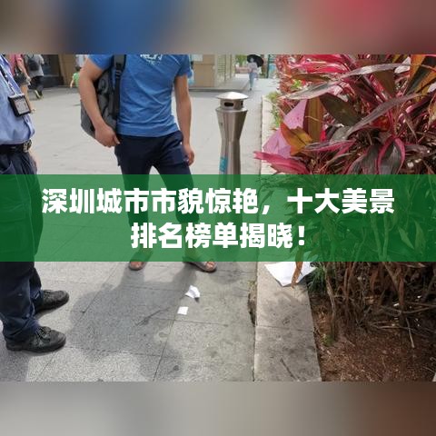 深圳城市市貌驚艷，十大美景排名榜單揭曉！