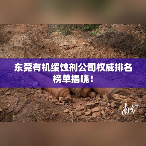東莞有機(jī)緩蝕劑公司權(quán)威排名榜單揭曉！