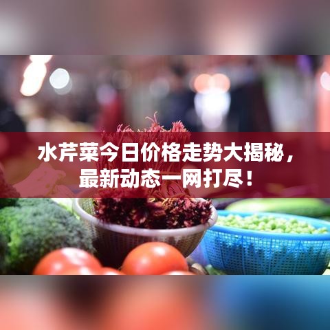 水芹菜今日價(jià)格走勢大揭秘，最新動態(tài)一網(wǎng)打盡！