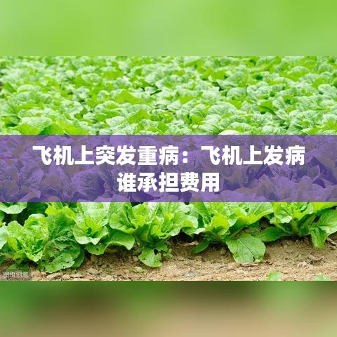 飛機(jī)上突發(fā)重?。猴w機(jī)上發(fā)病 誰承擔(dān)費(fèi)用 