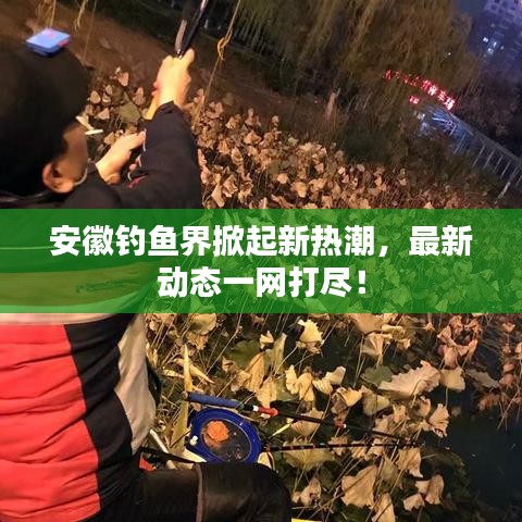 安徽釣魚界掀起新熱潮，最新動(dòng)態(tài)一網(wǎng)打盡！