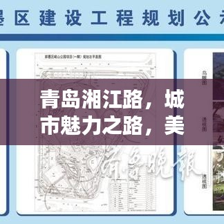 青島湘江路，城市魅力之路，美景盡收眼底