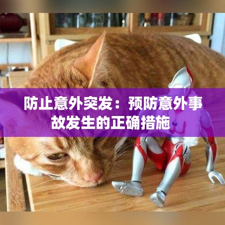 花樣新翻 第3頁