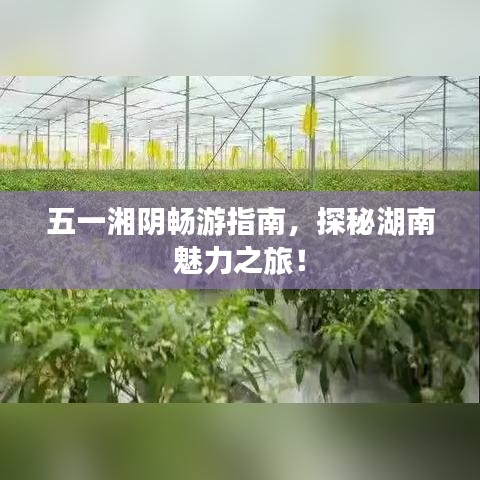 五一湘陰暢游指南，探秘湖南魅力之旅！