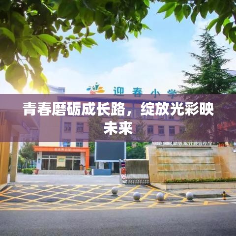 青春磨礪成長(zhǎng)路，綻放光彩映未來(lái)