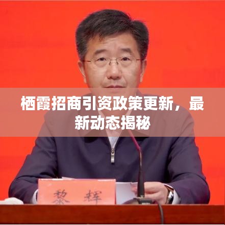 棲霞招商引資政策更新，最新動態(tài)揭秘
