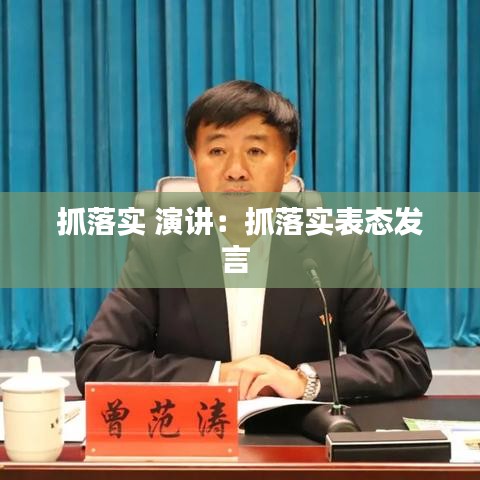 抓落實 演講：抓落實表態(tài)發(fā)言 