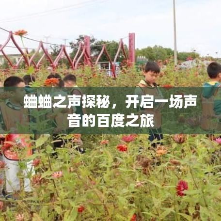 蛐蛐之聲探秘，開啟一場(chǎng)聲音的百度之旅