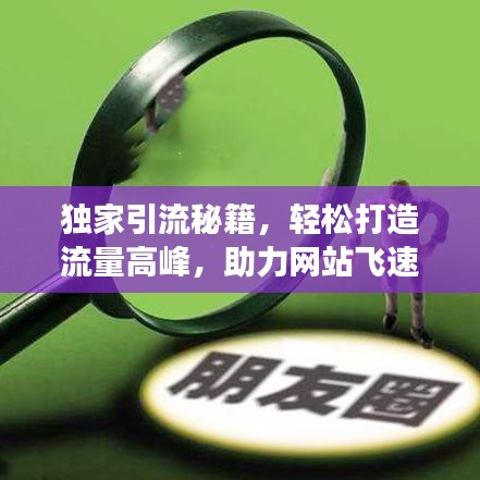 獨家引流秘籍，輕松打造流量高峰，助力網站飛速增長！