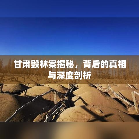 甘肅毀林案揭秘，背后的真相與深度剖析