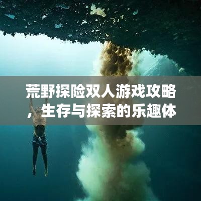 荒野探險雙人游戲攻略，生存與探索的樂趣體驗