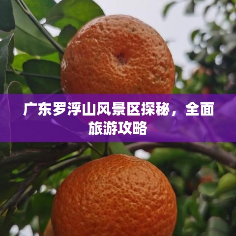 廣東羅浮山風(fēng)景區(qū)探秘，全面旅游攻略