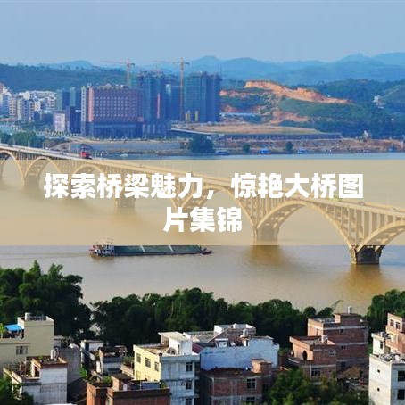 探索橋梁魅力，驚艷大橋圖片集錦