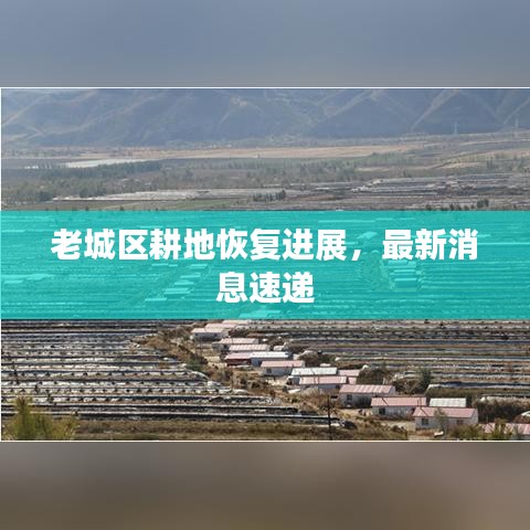 老城區(qū)耕地恢復(fù)進(jìn)展，最新消息速遞