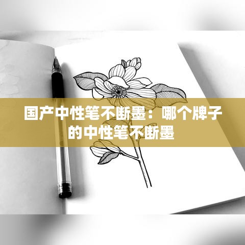 國產(chǎn)中性筆不斷墨：哪個(gè)牌子的中性筆不斷墨 