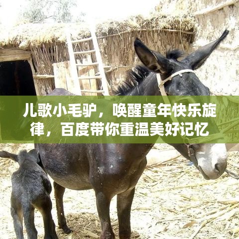 兒歌小毛驢，喚醒童年快樂旋律，百度帶你重溫美好記憶