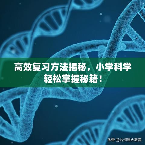 高效復習方法揭秘，小學科學輕松掌握秘籍！