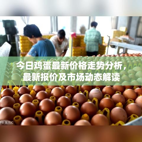 今日雞蛋最新價(jià)格走勢(shì)分析，最新報(bào)價(jià)及市場(chǎng)動(dòng)態(tài)解讀