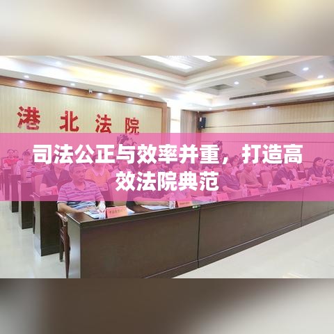 司法公正與效率并重，打造高效法院典范