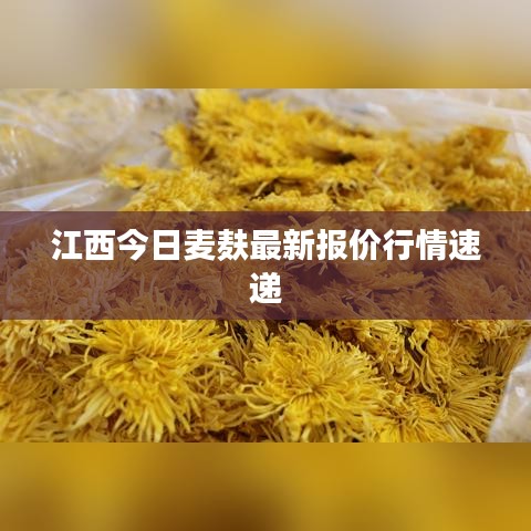 江西今日麥麩最新報價行情速遞