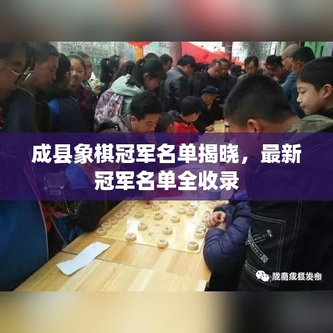 成縣象棋冠軍名單揭曉，最新冠軍名單全收錄
