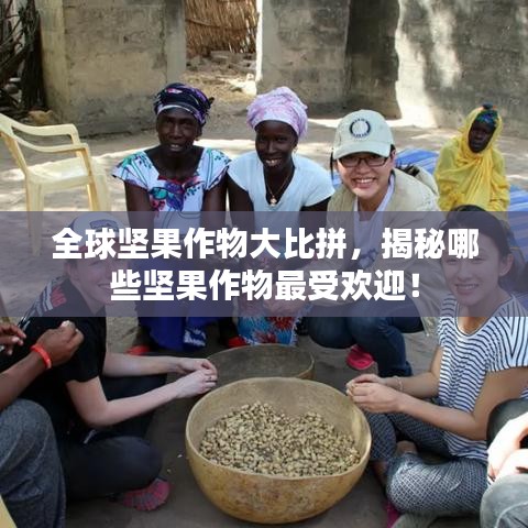 全球堅(jiān)果作物大比拼，揭秘哪些堅(jiān)果作物最受歡迎！