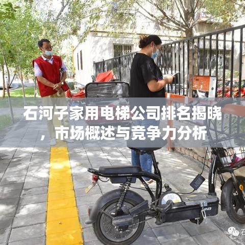 石河子家用電梯公司排名揭曉，市場概述與競爭力分析