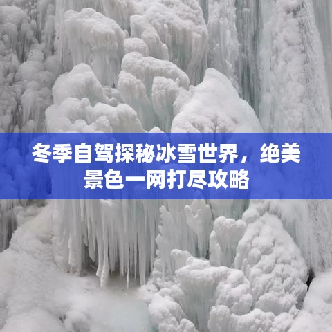 冬季自駕探秘冰雪世界，絕美景色一網打盡攻略