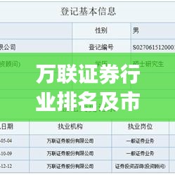萬聯(lián)證券行業(yè)排名及市場表現(xiàn)解析，深度探討市場表現(xiàn)與競爭力評估