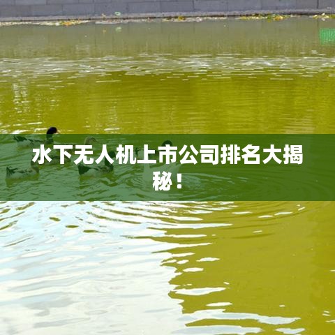 水下無人機(jī)上市公司排名大揭秘！