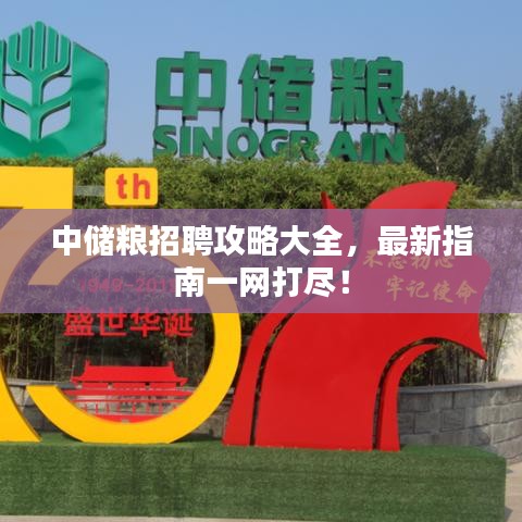 中儲糧招聘攻略大全，最新指南一網(wǎng)打盡！