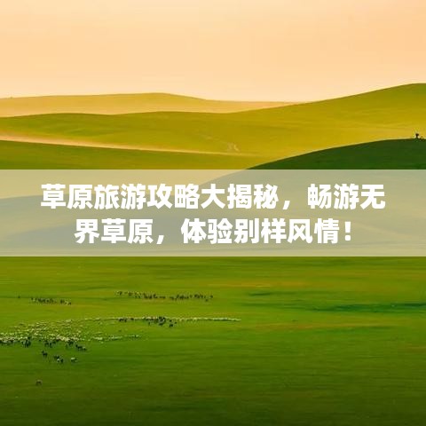 草原旅游攻略大揭秘，暢游無界草原，體驗別樣風(fēng)情！