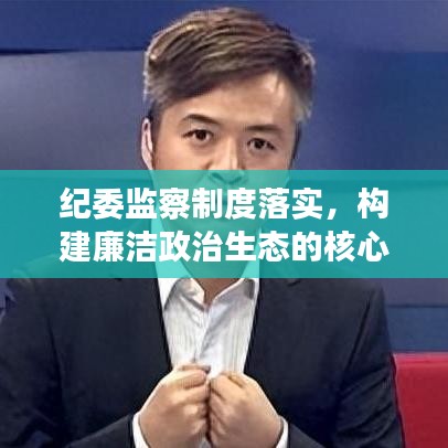 紀(jì)委監(jiān)察制度落實(shí)，構(gòu)建廉潔政治生態(tài)的核心基石
