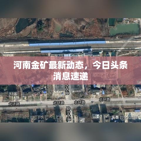 河南金礦最新動態(tài)，今日頭條消息速遞