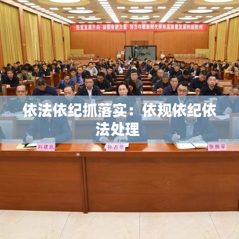 依法依紀(jì)抓落實：依規(guī)依紀(jì)依法處理 