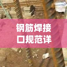 駕輕就熟 第2頁