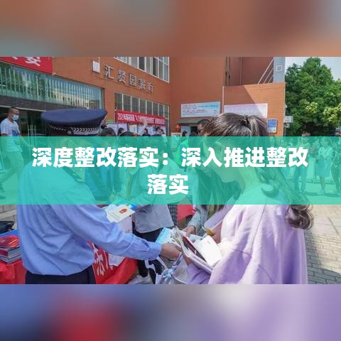 深度整改落實：深入推進整改落實 