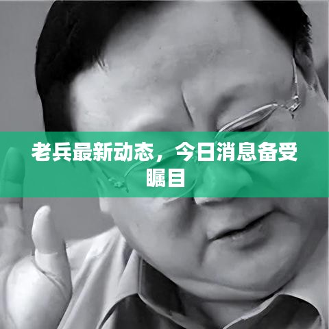 老兵最新動態(tài)，今日消息備受矚目