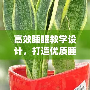 地老天荒 第3頁