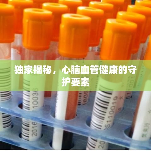 獨家揭秘，心腦血管健康的守護要素