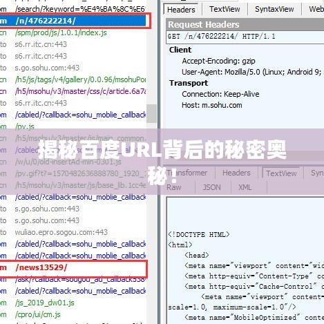 揭秘百度URL背后的秘密奧秘！