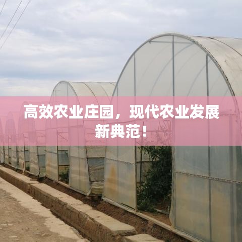鳥吏鼈官 第2頁(yè)