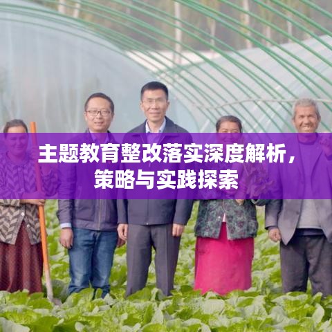 主題教育整改落實深度解析，策略與實踐探索