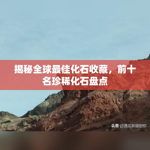 各就各位 第3頁