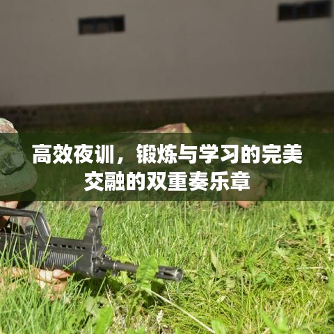 高效夜訓(xùn)，鍛煉與學(xué)習(xí)的完美交融的雙重奏樂章