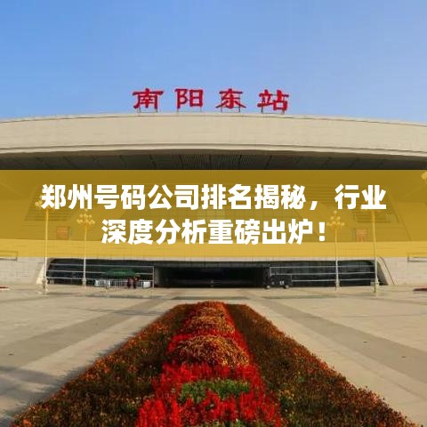鄭州號(hào)碼公司排名揭秘，行業(yè)深度分析重磅出爐！