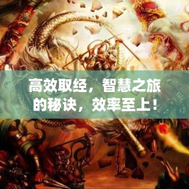 高效取經(jīng)，智慧之旅的秘訣，效率至上！