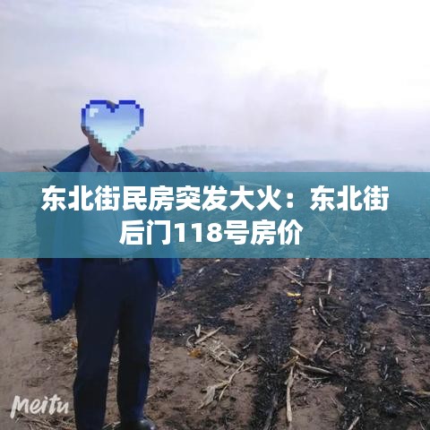 龍飛九五 第2頁